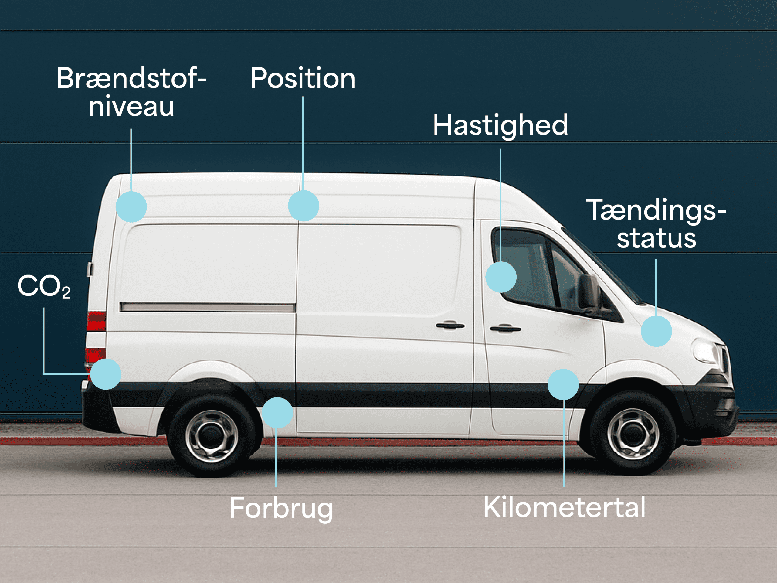 ecolink datapoints dk