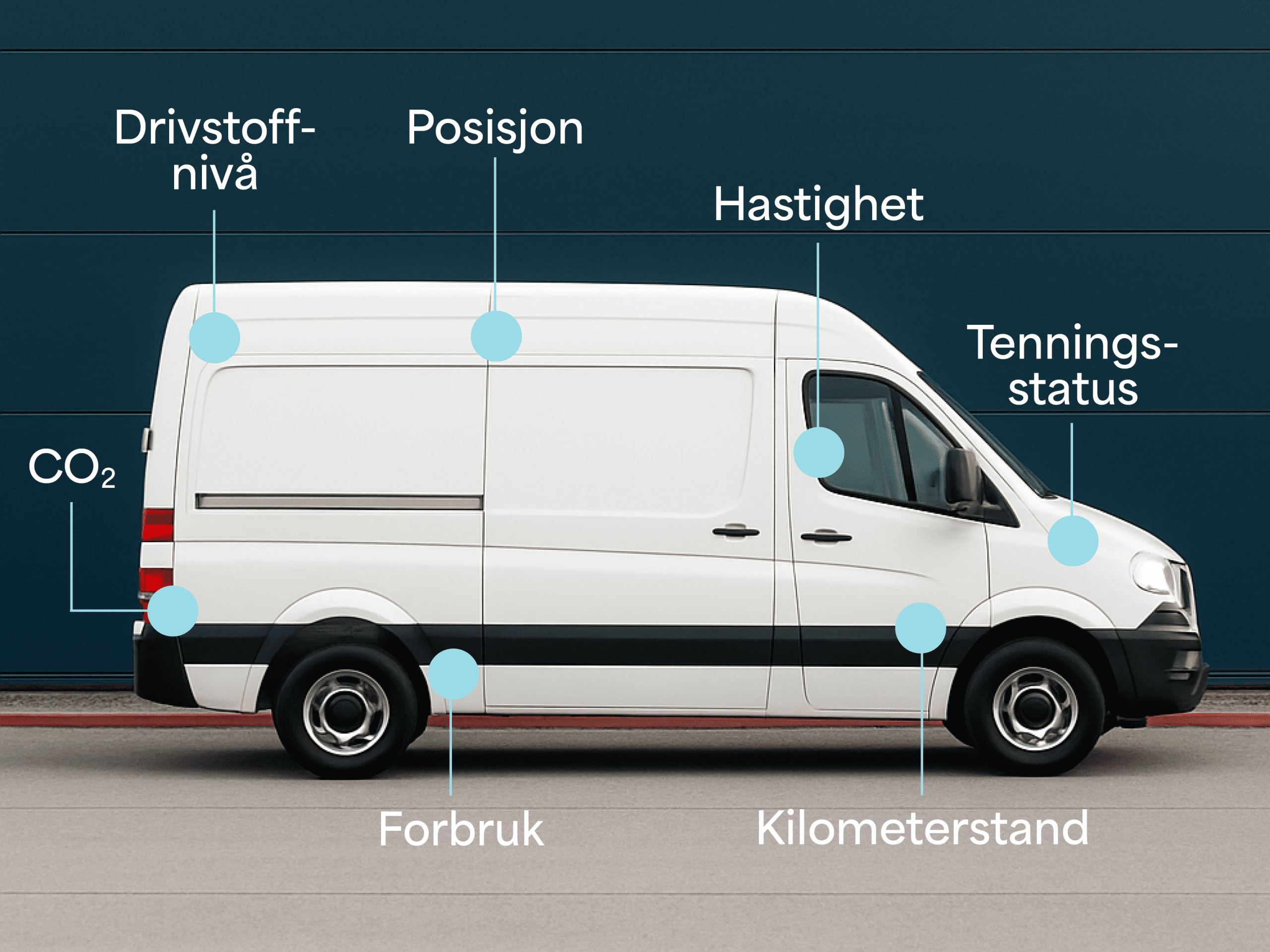 ecolink datapoints no